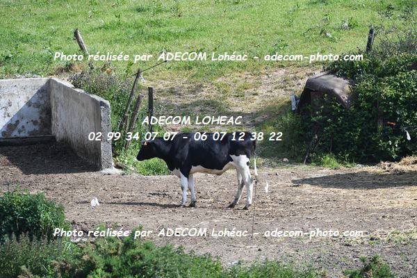 http://v2.adecom-photo.com/images//6.COURSE DE COTE/2023/9_COURSE_DE_COTE_ST_GOUENO_2023/AMBIANCE_DIVERS/39A_2307.JPG